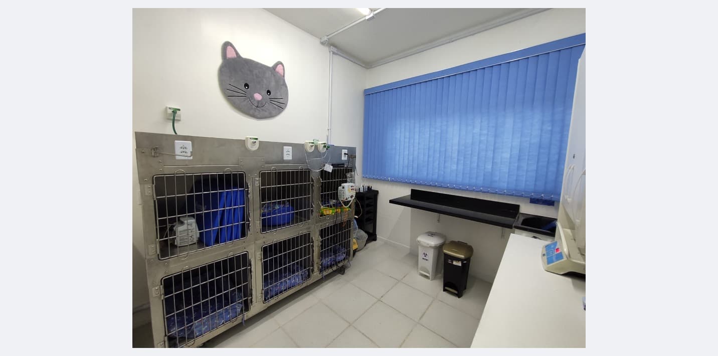 Área de Internação