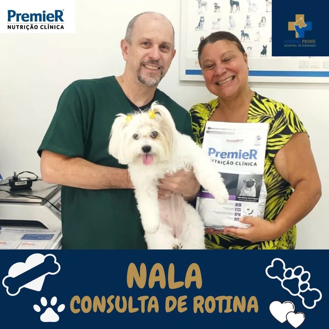 Nala - paciente feliz
