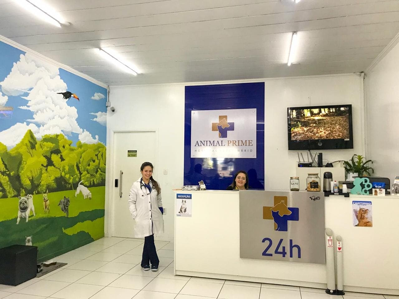 Recepção da Animal Prime com atendimento humanizado na Penha, São Paulo